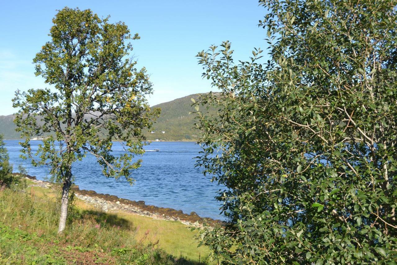 Kvaloya Lodge Futrikelv Exterior photo